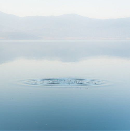 💧Purify & Reset
